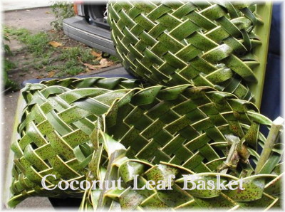 Coconut Leaf Basket soft edge